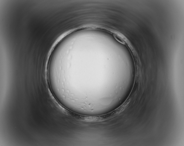 X0000086331199200704202035