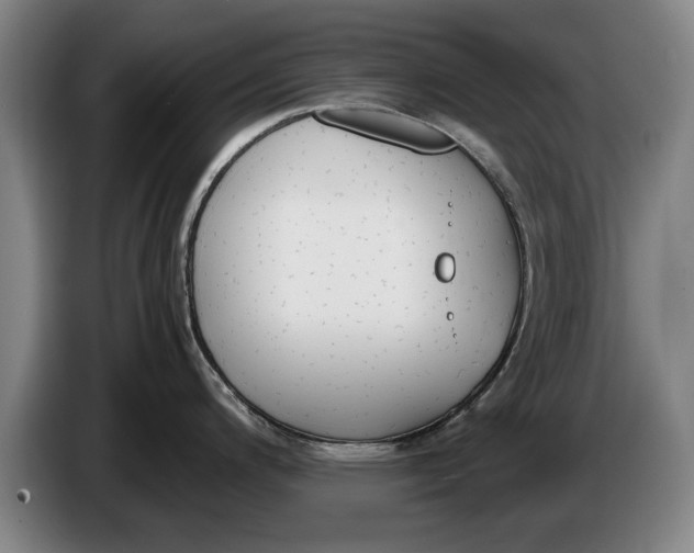 X0000086331200200704202035