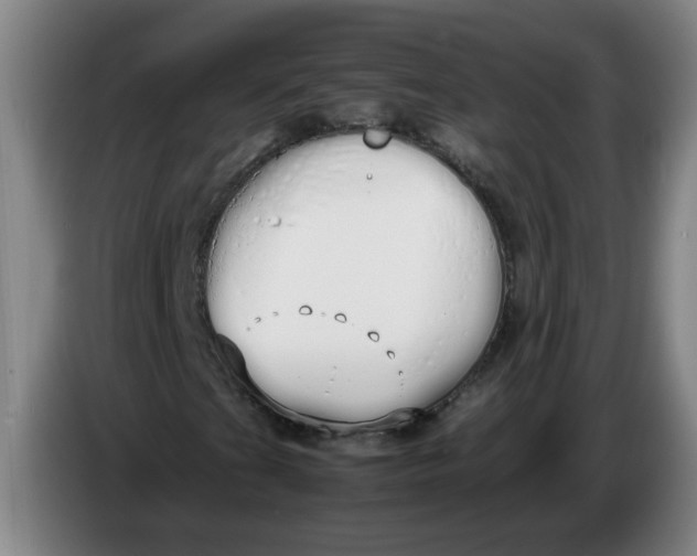 X0000086331201200704202035