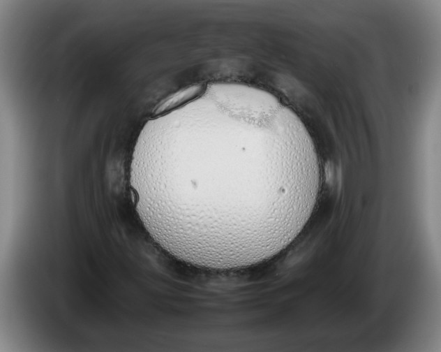 X0000086331203200704202035