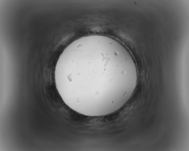 X0000086331205200704202035