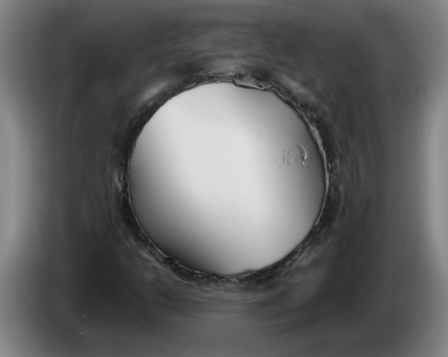 X0000086331206200704202035