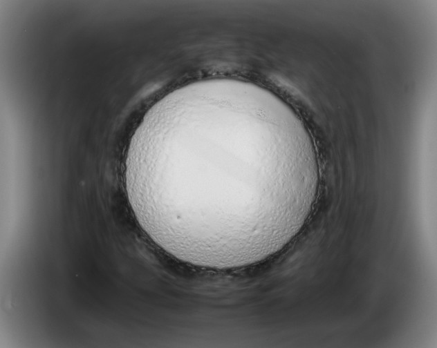 X0000086331207200704202035