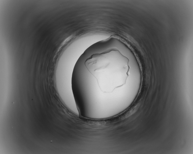 X0000086331210200704202035