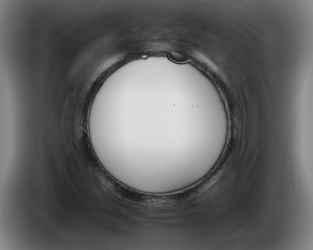 X0000086331213200704202035