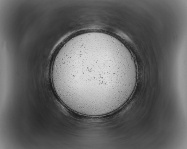 X0000086331216200704202035