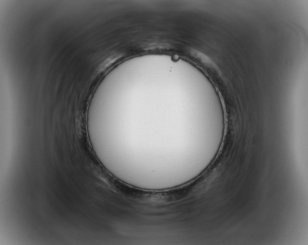 X0000086331217200704202035