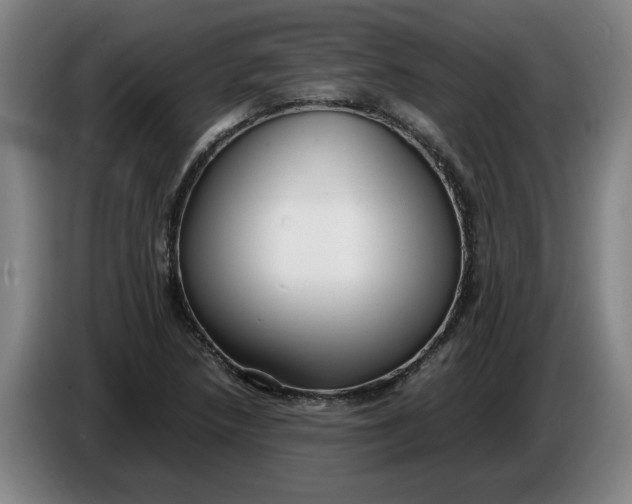 X0000086331218200704202035