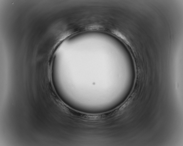 X0000086331219200704202035