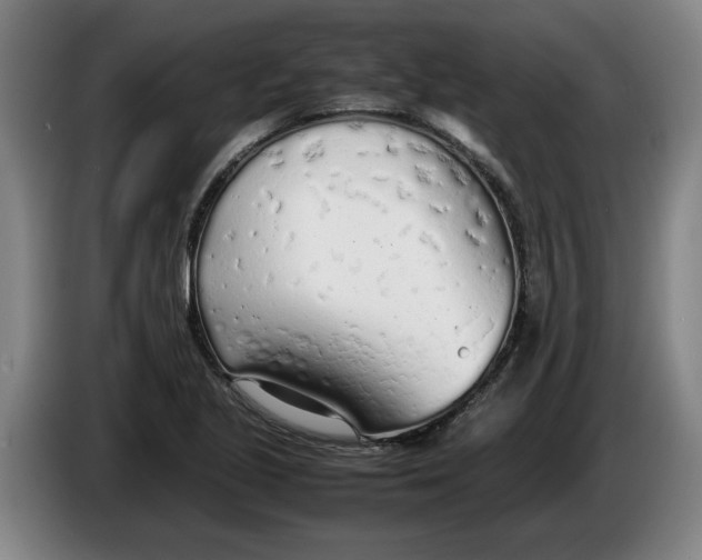 X0000086331221200704202035