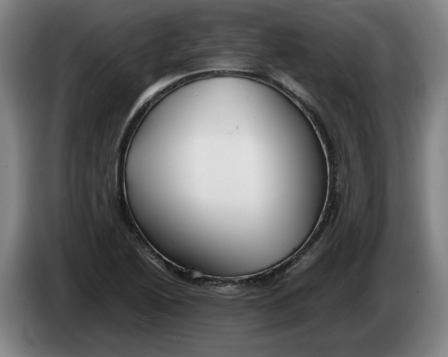 X0000086331222200704202035