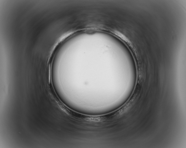 X0000086331223200704202035