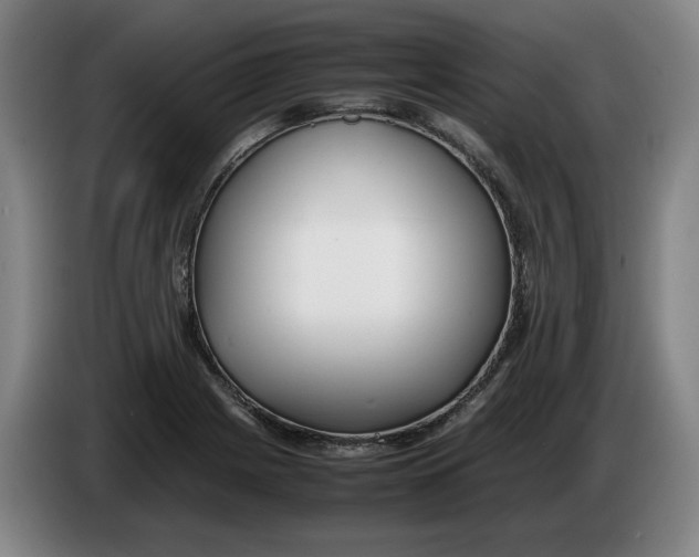 X0000086331225200704202035