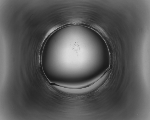 X0000086331226200704202035