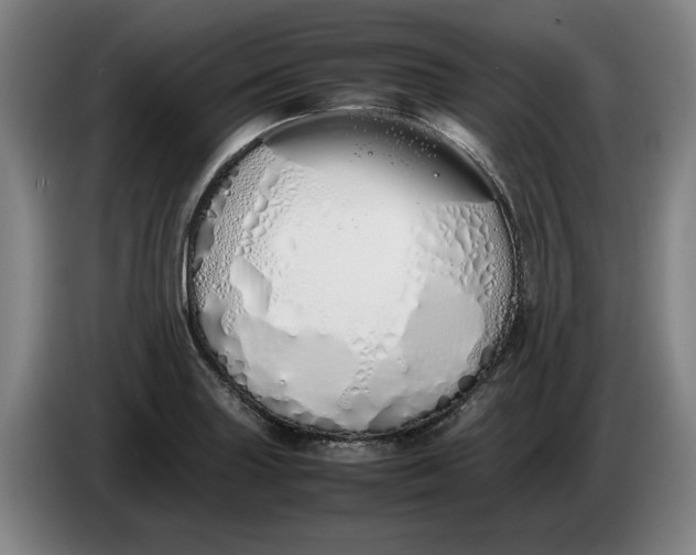 X0000086331227200704202035