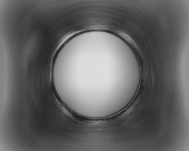 X0000086331228200704202035