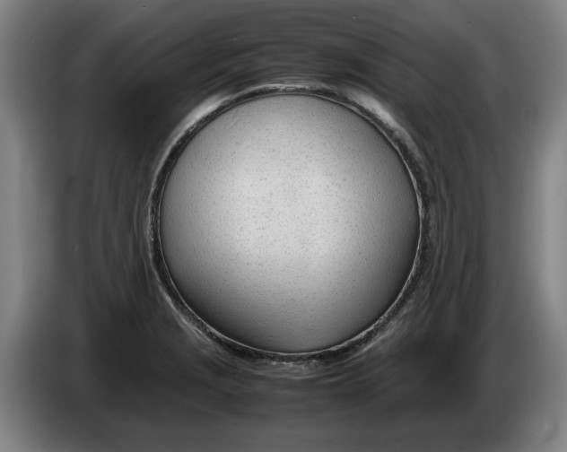 X0000086331229200704202035