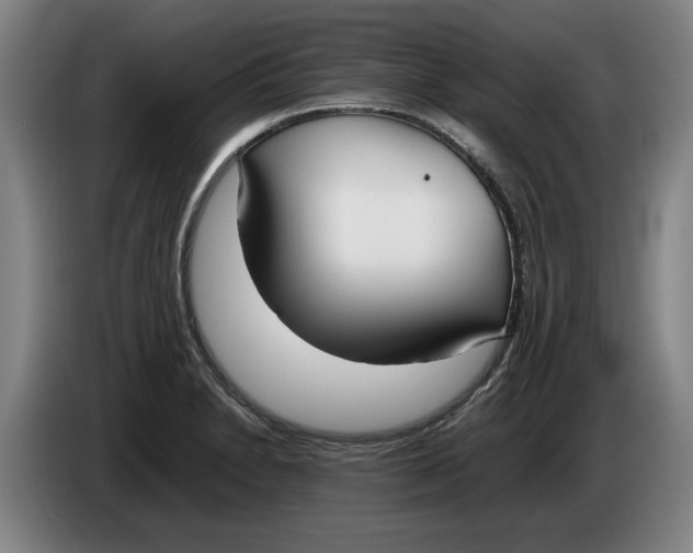 X0000086331230200704202035