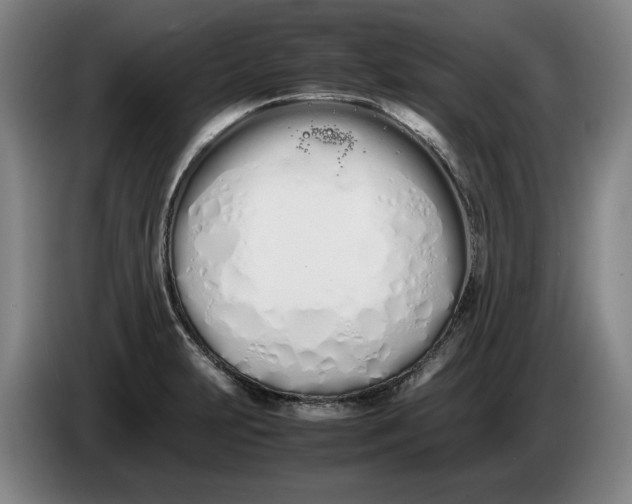 X0000086331231200704202035