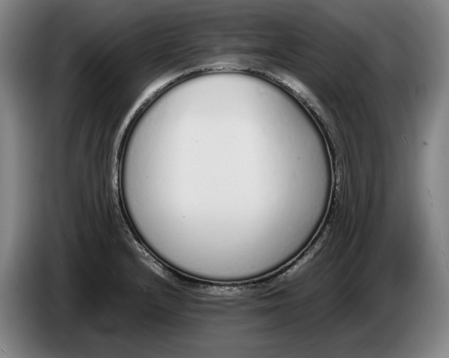 X0000086331232200704202035