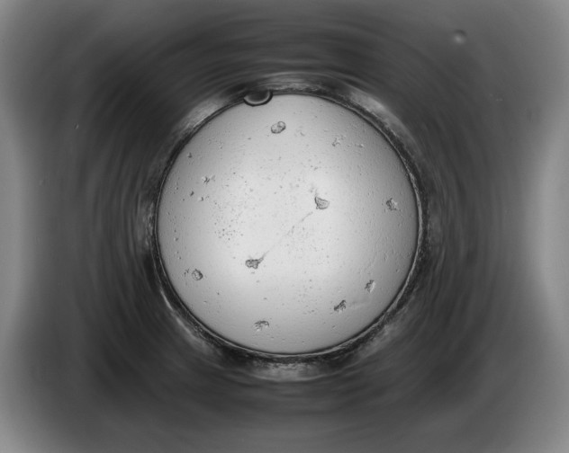 X0000086331233200704202035