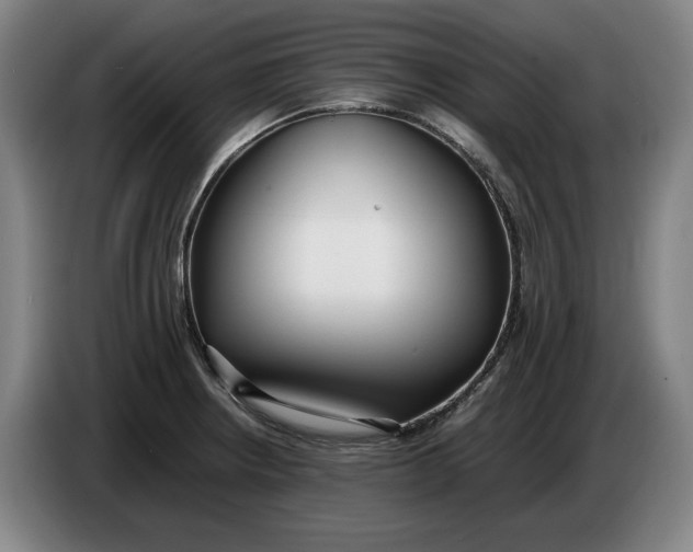 X0000086331234200704202035