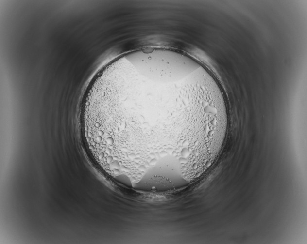 X0000086331235200704202035