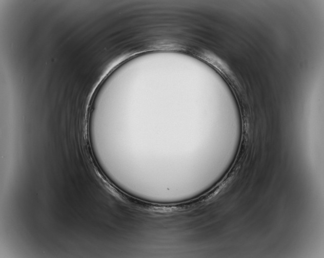 X0000086331236200704202035