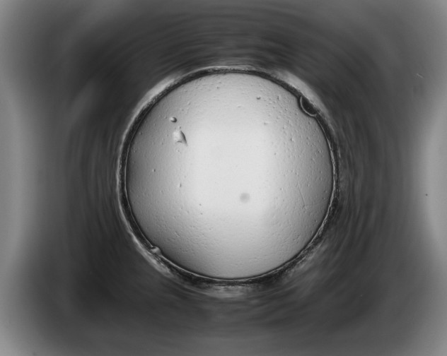 X0000086331237200704202035