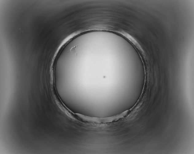 X0000086331238200704202035