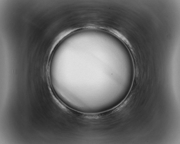 X0000086331239200704202035