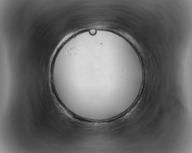 X0000086331240200704202035