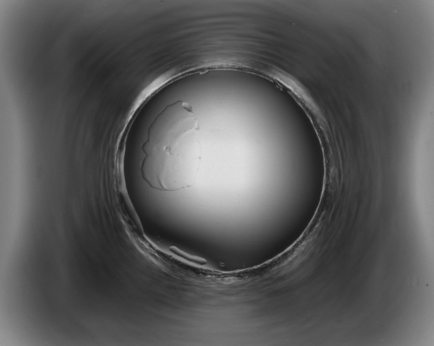 X0000086331242200704202035