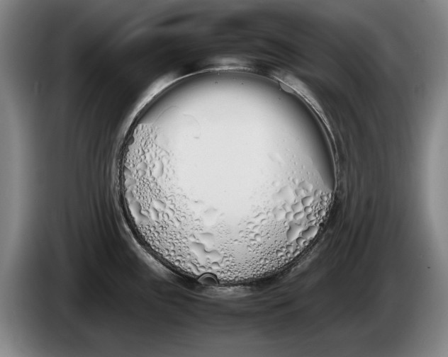 X0000086331243200704202035