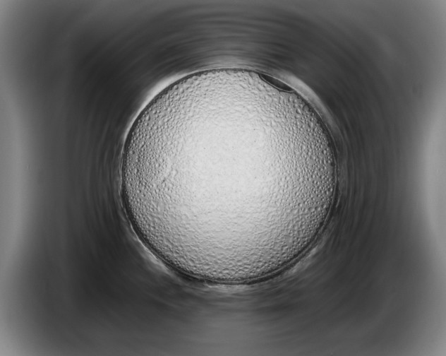 X0000086331244200704202035