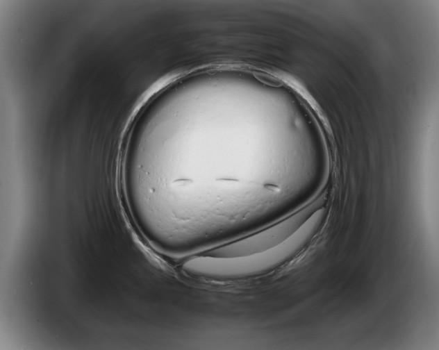 X0000086331245200704202035