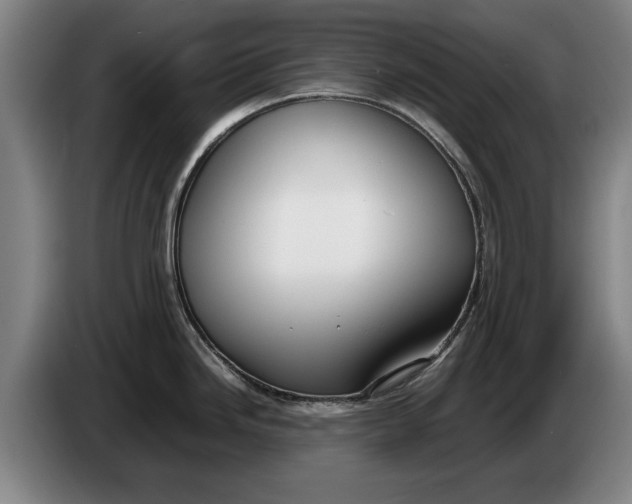 X0000086331246200704202035