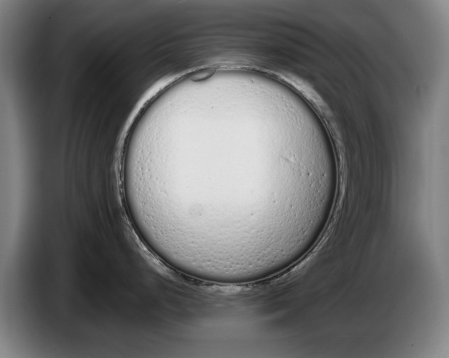 X0000086331248200704202035