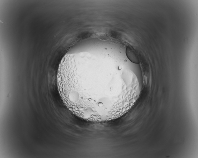 X0000086331251200704202034