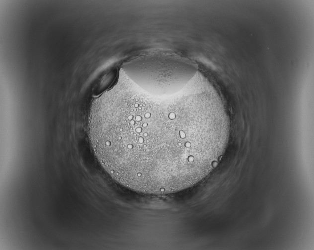 X0000086331255200704202034