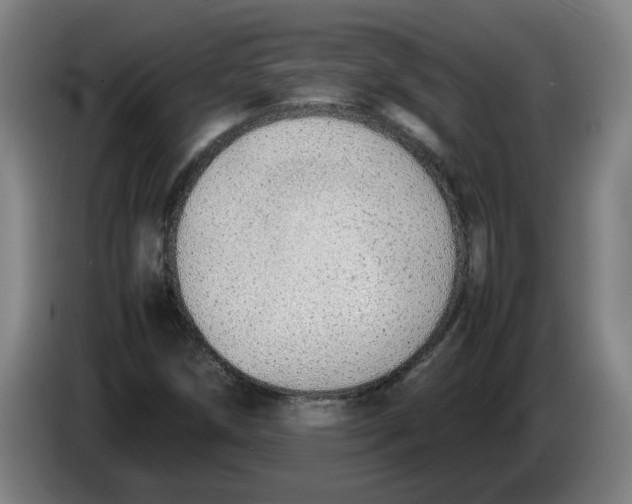 X0000086331258200704202034