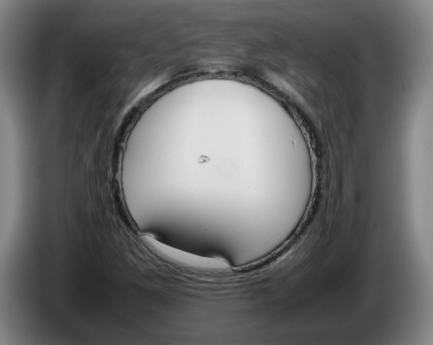 X0000086331261200704202034