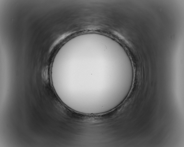 X0000086331262200704202034