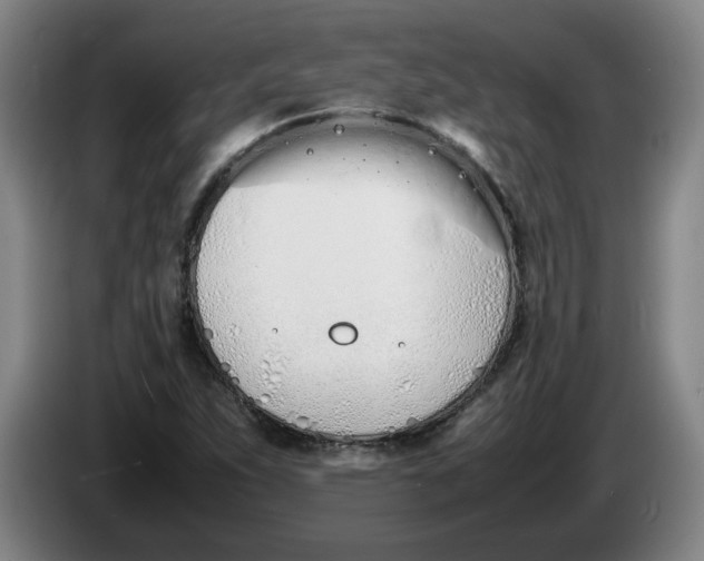 X0000086331263200704202034