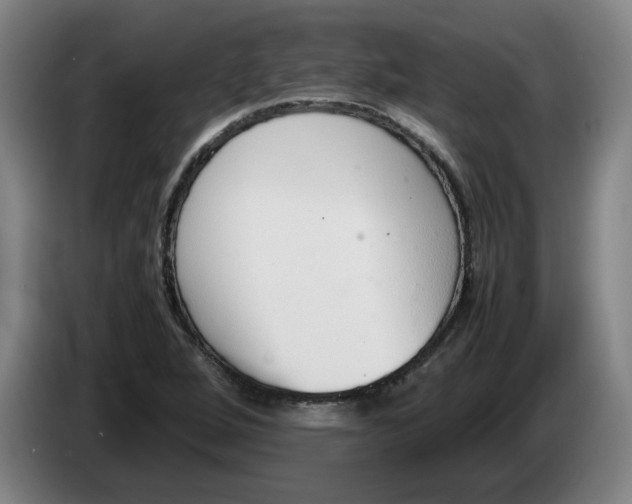 X0000086331264200704202034