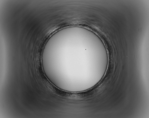 X0000086331265200704202034