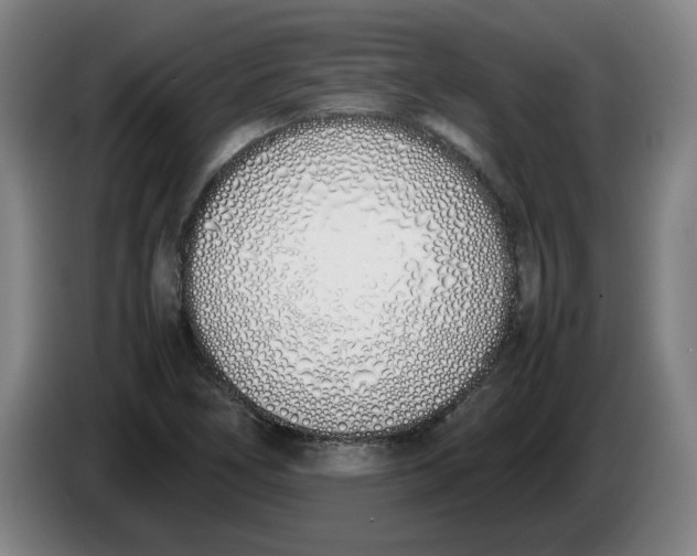 X0000086331266200704202034