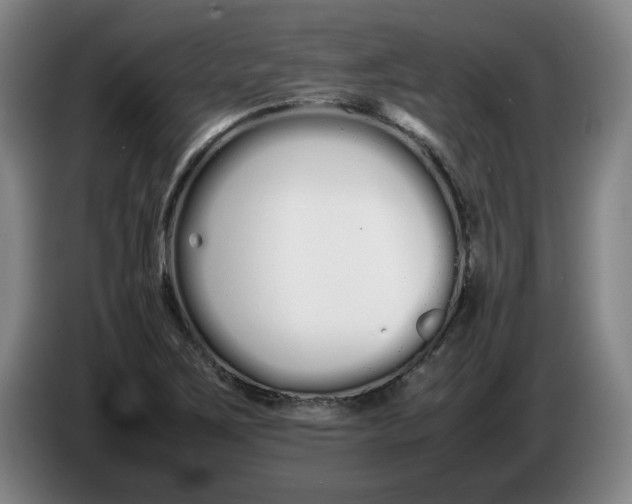 X0000086331267200704202034