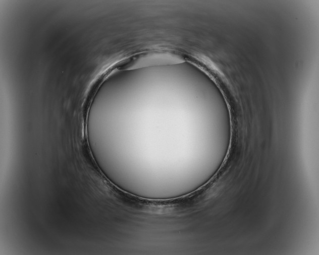 X0000086331269200704202034