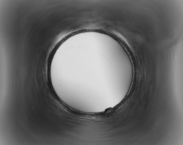 X0000086331270200704202034